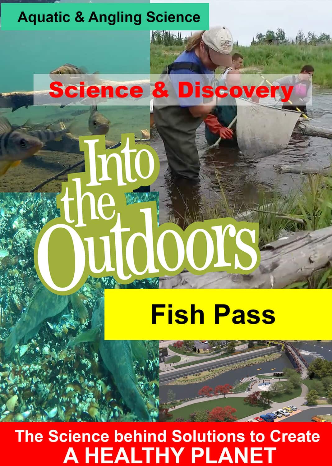 Fish Pass  - DVD