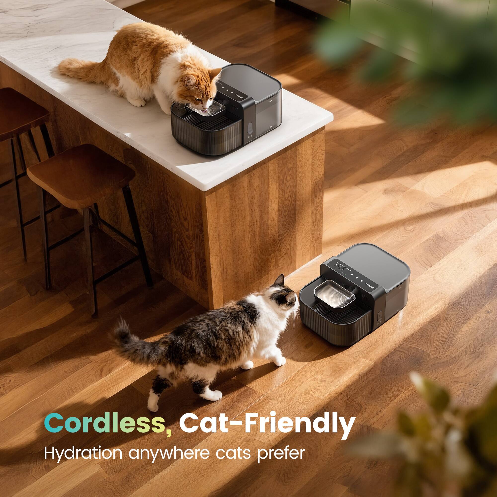 Cordless, Cat-Friendly  
Hydration anywhere cats prefer