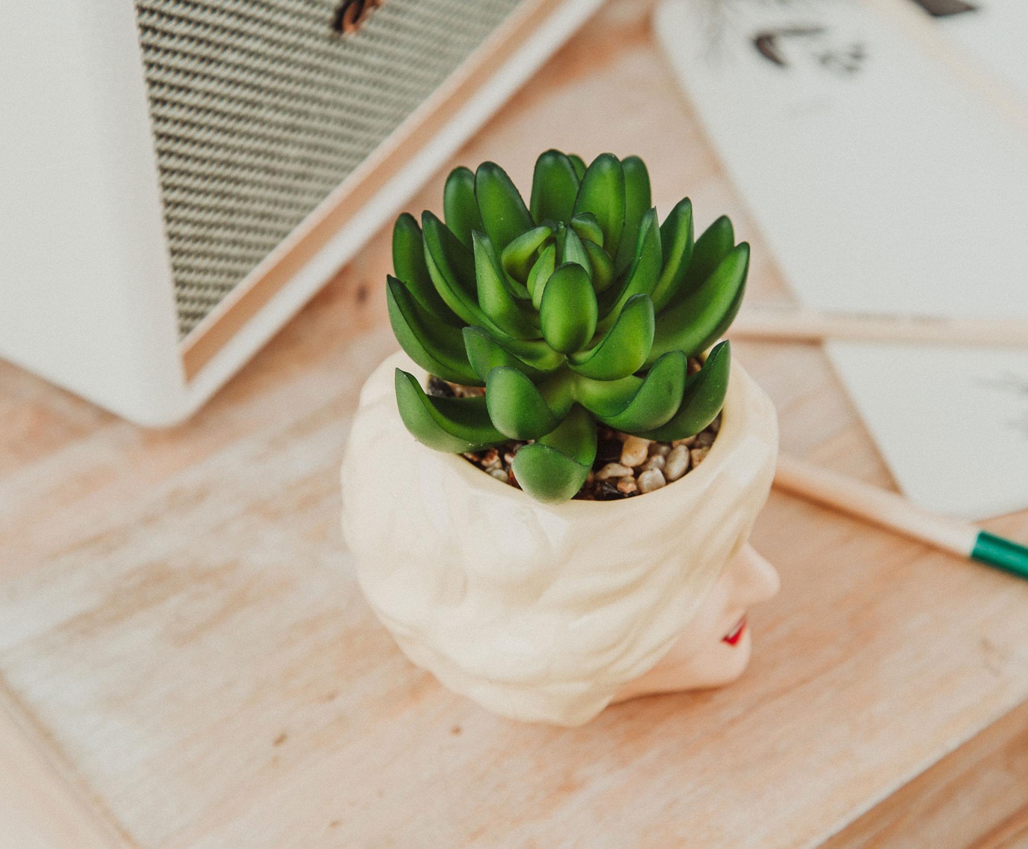 Alt View 3. Silver Buffalo - The Golden Girls Rose 3-Inch Ceramic Mini Planter With Artificial Succulent - Beige.