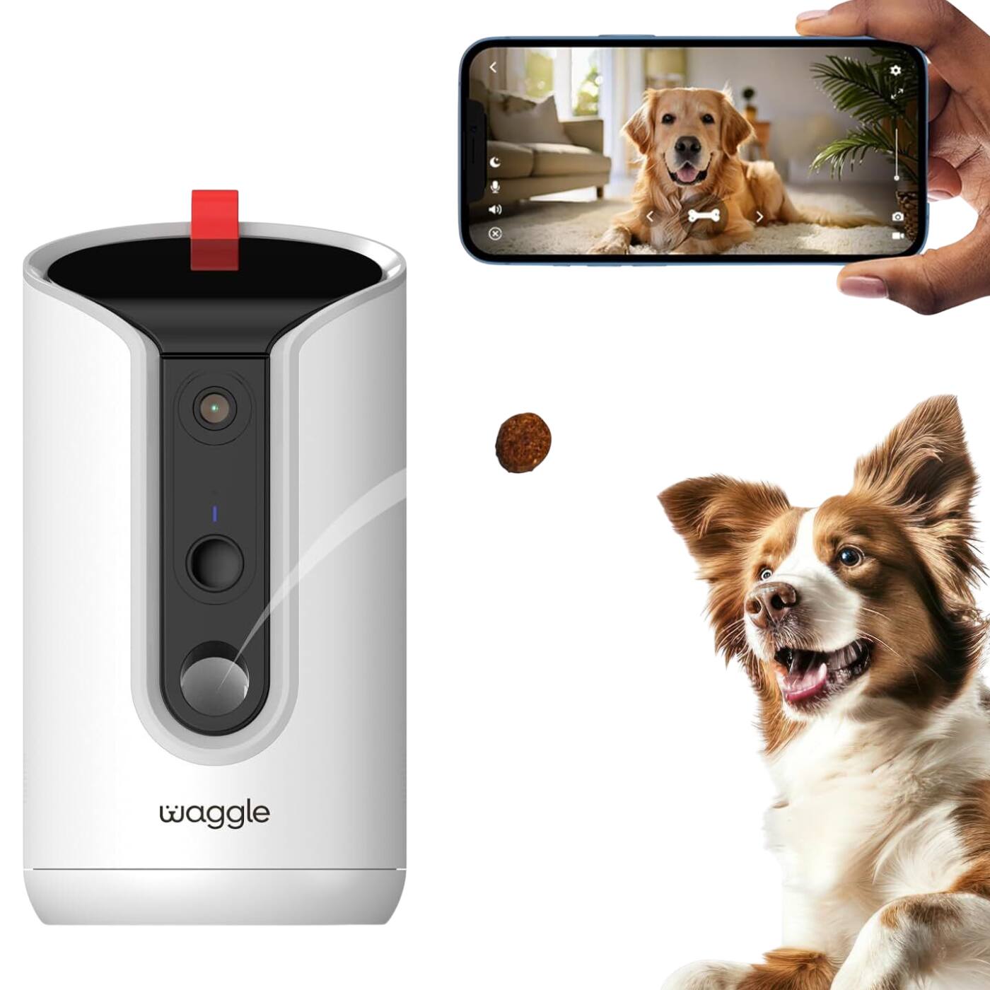 Front. Waggle - WaggleCam 2K Pet Camera & Treat Dispenser, 360° AI Tracking, 2-Way Audio, Night Vision, Dual-Band WiFi. - White.