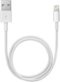 Apple - 1.6' Lightning-to-USB Cable - White-Front_Standard 