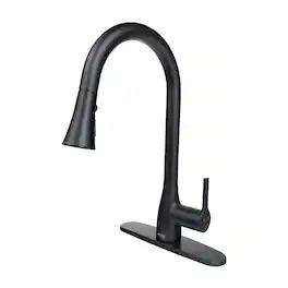 Flow Classic Kitchen Faucet