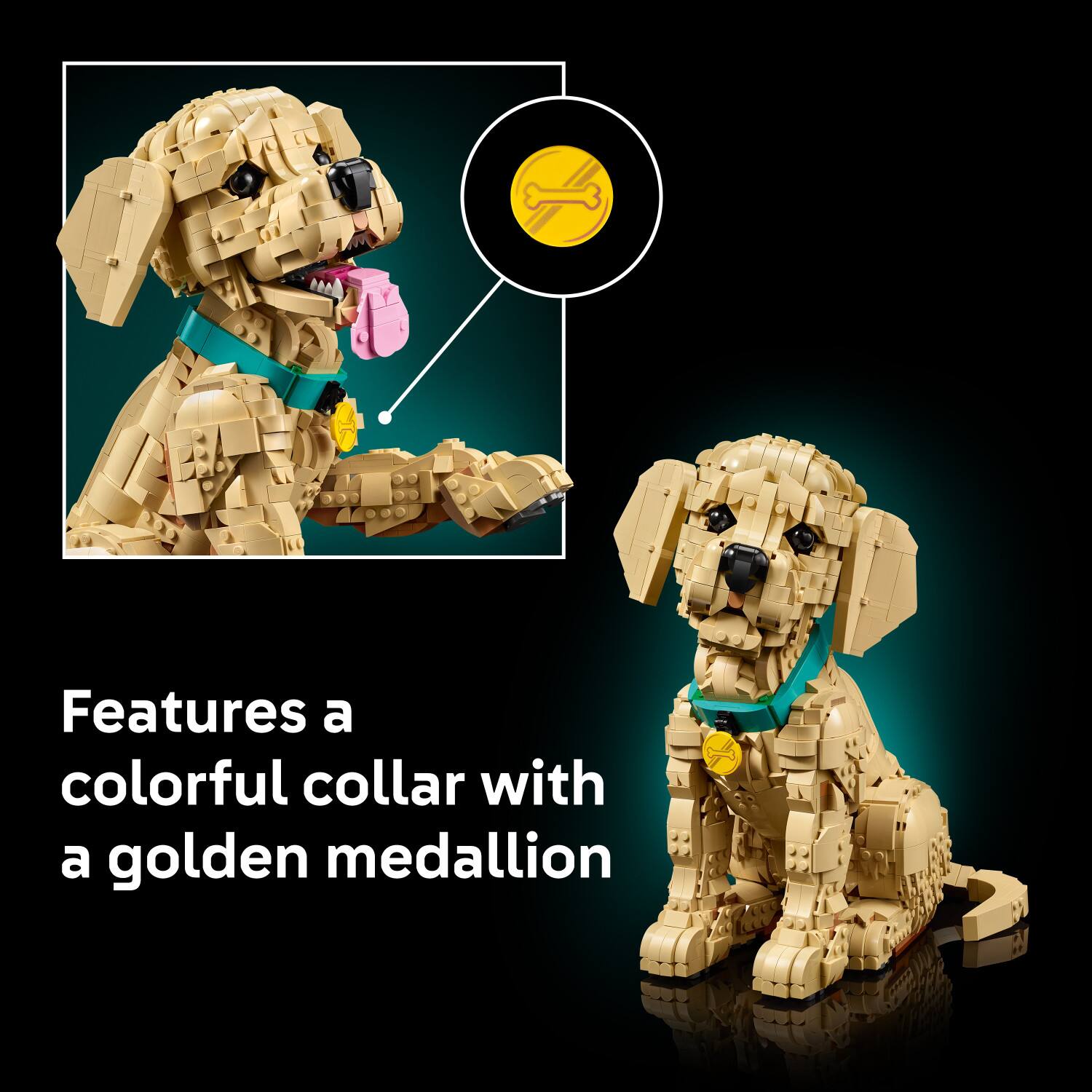 Features a colorful collar with a golden medallion