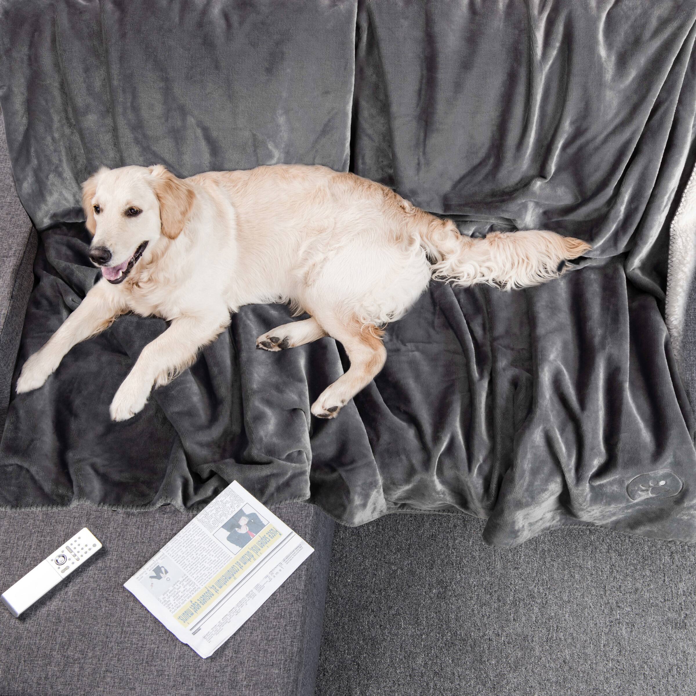 Sure, here is the corrected text:

"1a Fiuspienois 4 vade 7 wp. hE u A posuere SUPW"