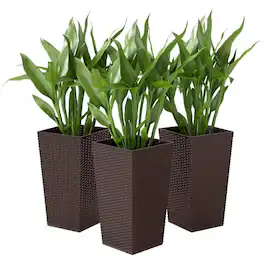 PULUZ - Set of 3 Tall Planters with Drainage Hole, 24 inch Outdoor Flower Plant Pots, Indoor Planters for Porch, Front Door - Brown