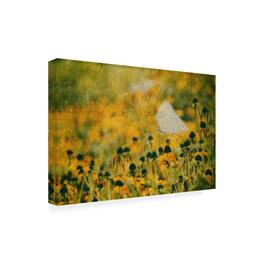 Trademark Fine Art - Ina Bouhuijzen End Of Summer Canvas Art - 47 x 30 Inches - 47x30 - Multicolor
