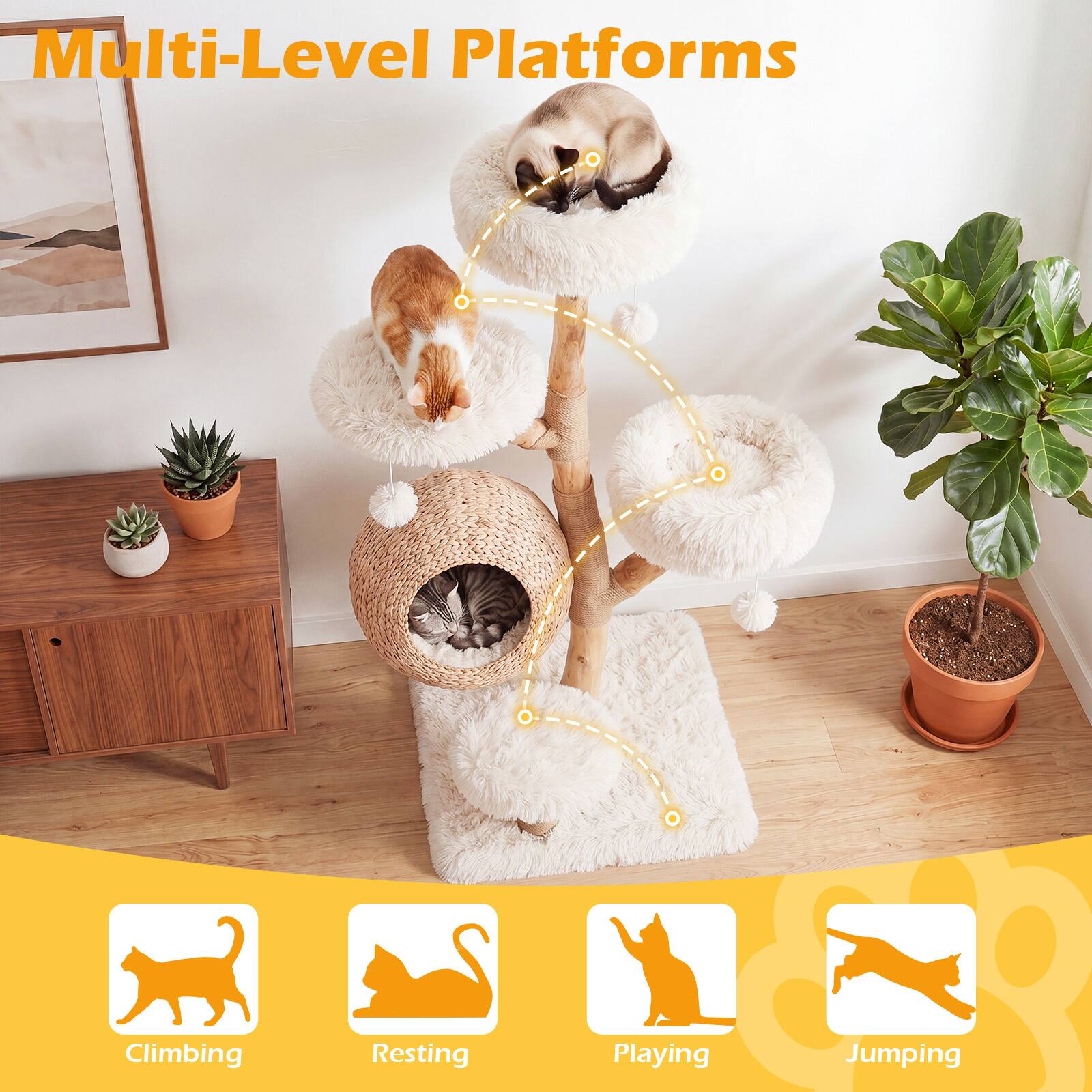 Multi-Level Platforms  
Climbing  
Resting  
Playing  
Jumping