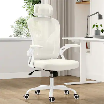 Front. Forest'nSky - High Back Ergonomic Office Chair with Adjustable Headrest & Lumbar Support for Home Study in Beige - Beige.