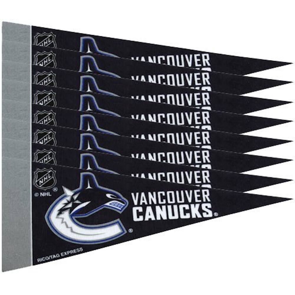 HL VHL AHL NHL  
VANCOUVER CANUCKS  
RICOTAG EXPRESS