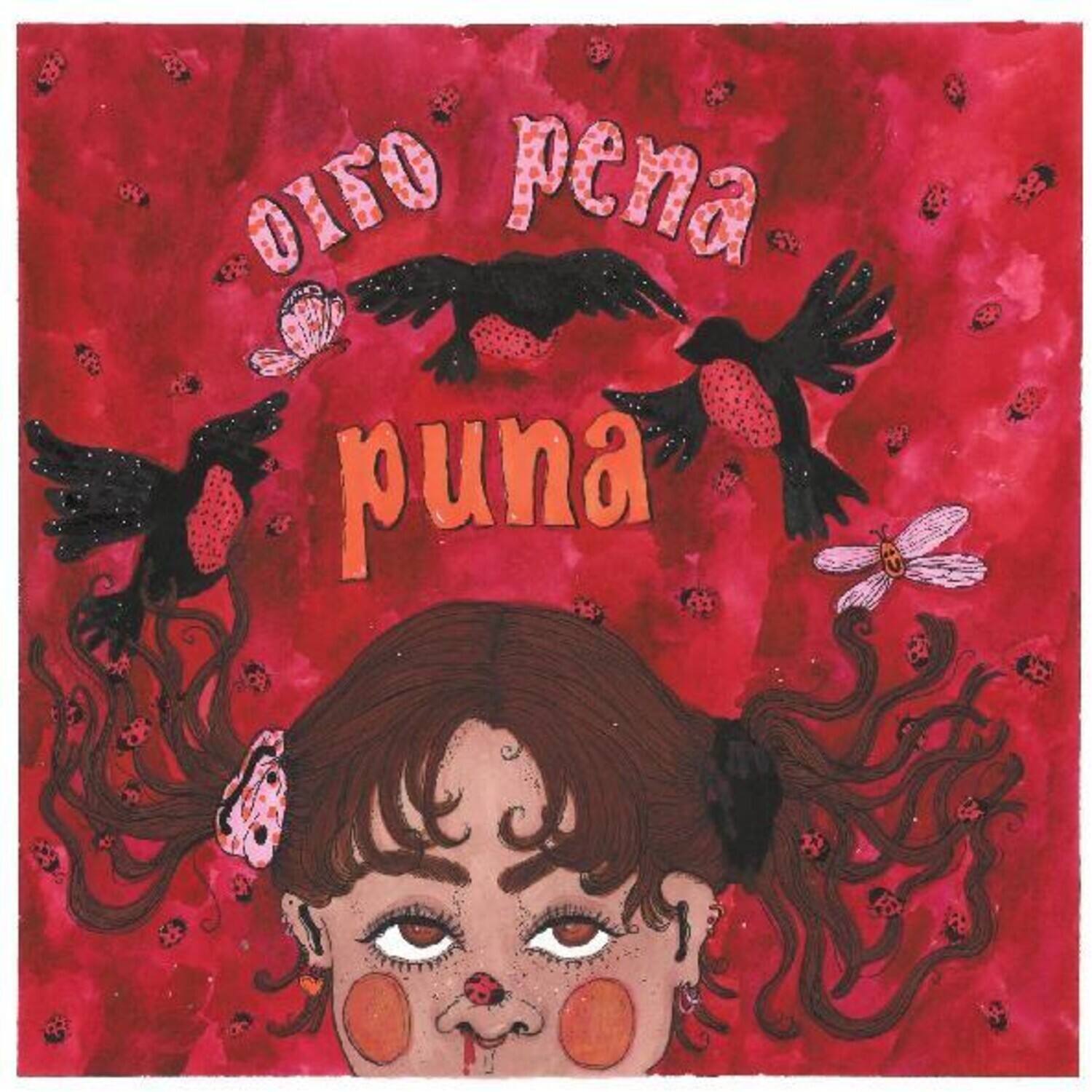 Oiro Pena - Puna   - VINYL LP price history on PriceWatchPro