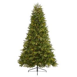 BreeBe - 7.5’ Washington Fir Xmas Tree w/600 Lights and 1610 Tips - Green