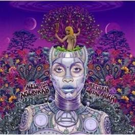 Erykah Badu - New Amerykah Part Two (Return Of The Ankh) - VINYL LP
