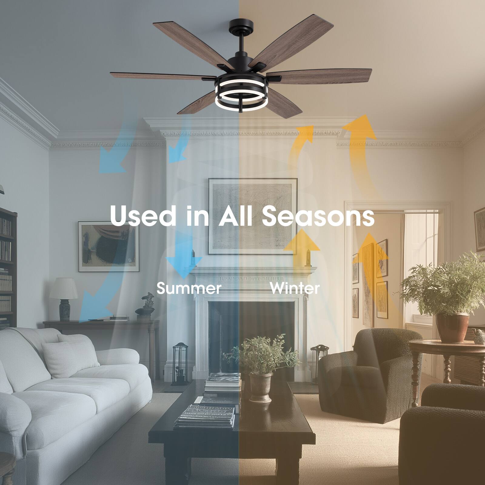 Used in All Seasons  
Summer  
Winter