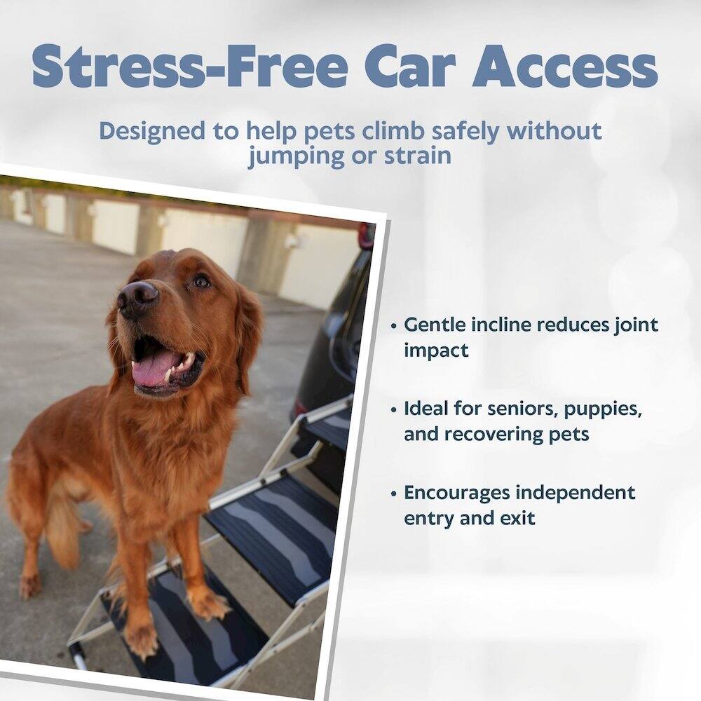 Stress-Free Car Access  
Designed to help pets climb safely without jumping or strain  

- Gentle incline reduces joint impact  
- Ideal for seniors, puppies, and recovering pets  
- Encourages independent entry and exit