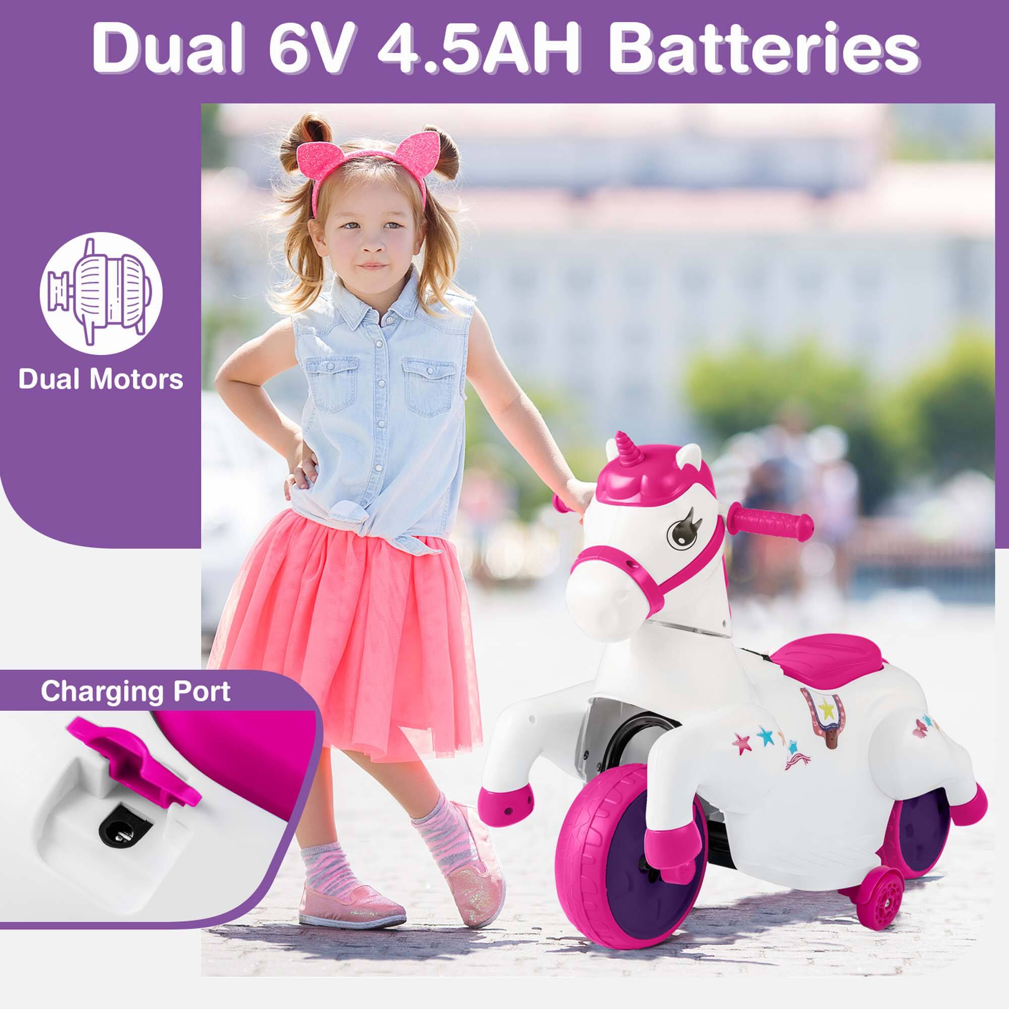Dual 6V 4.5AH Batteries

Dual Motors

Charging Port