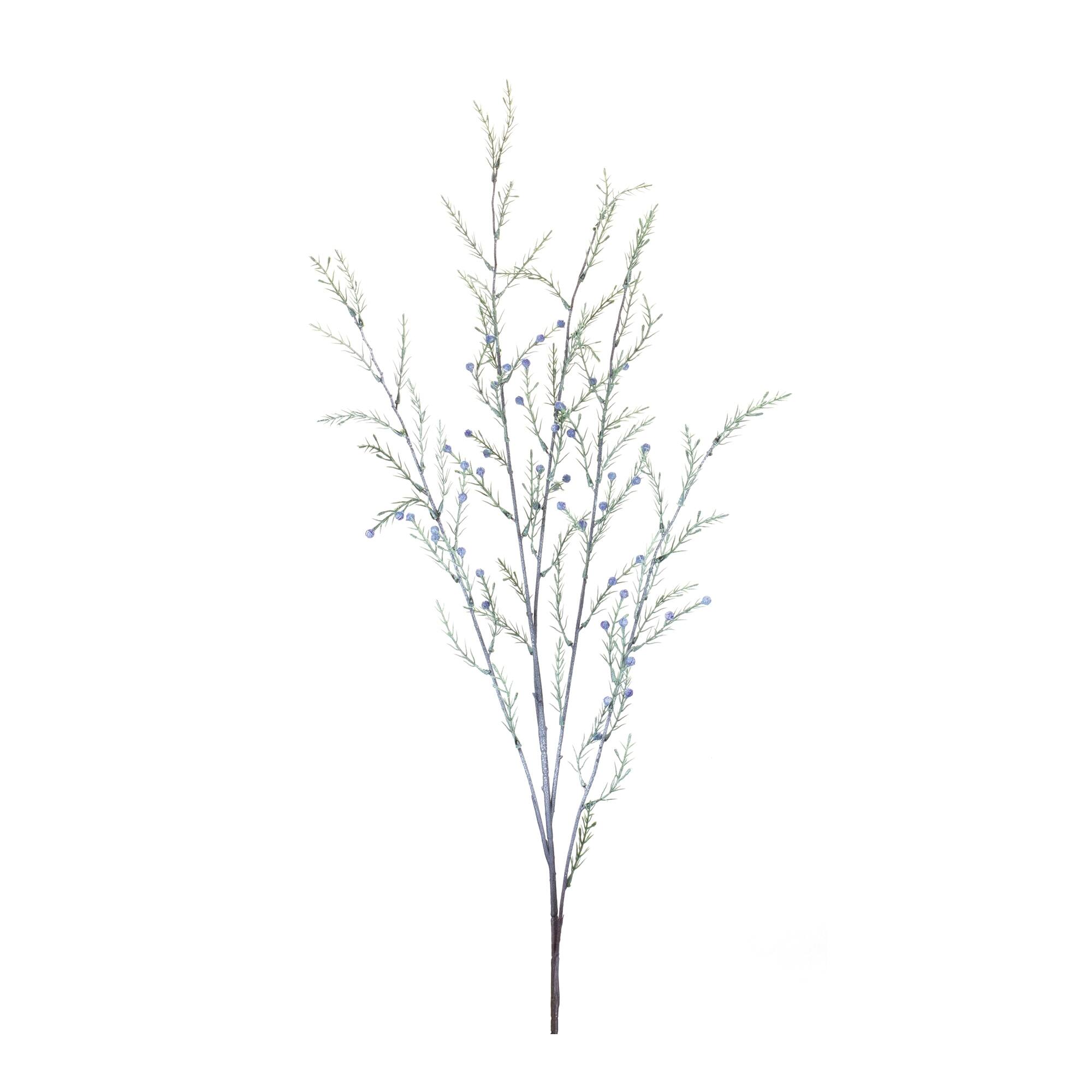 Front. BreeBe - Pine Branch (Set of 12) - Green, Blue.