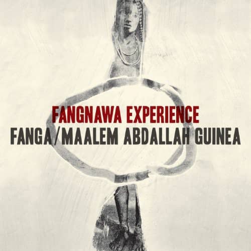 Fanga - Fangnawa Experience   - VINYL LP price history on PriceWatchPro