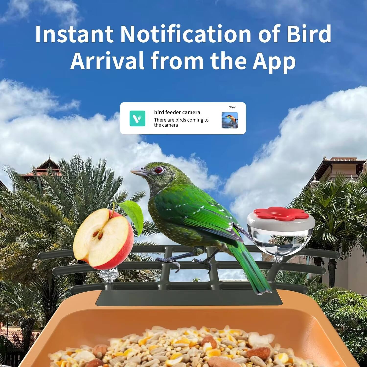 Instant Notification of Bird Arrival from the App

bird feeder camera
There are birds coming to the camera NOW