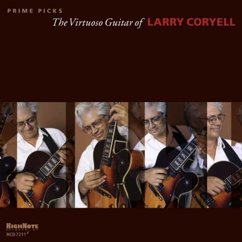 Larry Coryell - Prime Picks  - COMPACT DISCS
