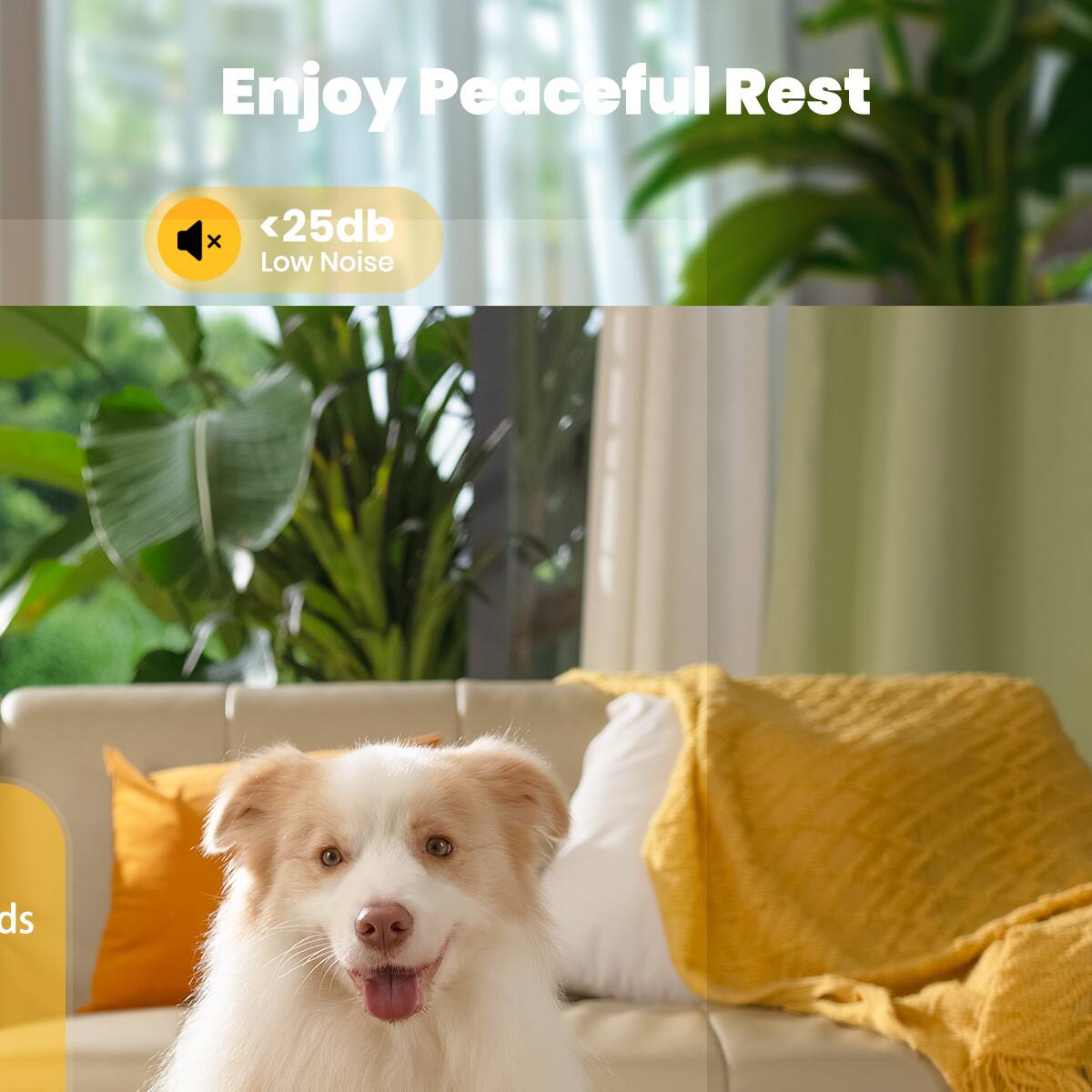 Enjoy Peaceful Rest <25db Low Noise