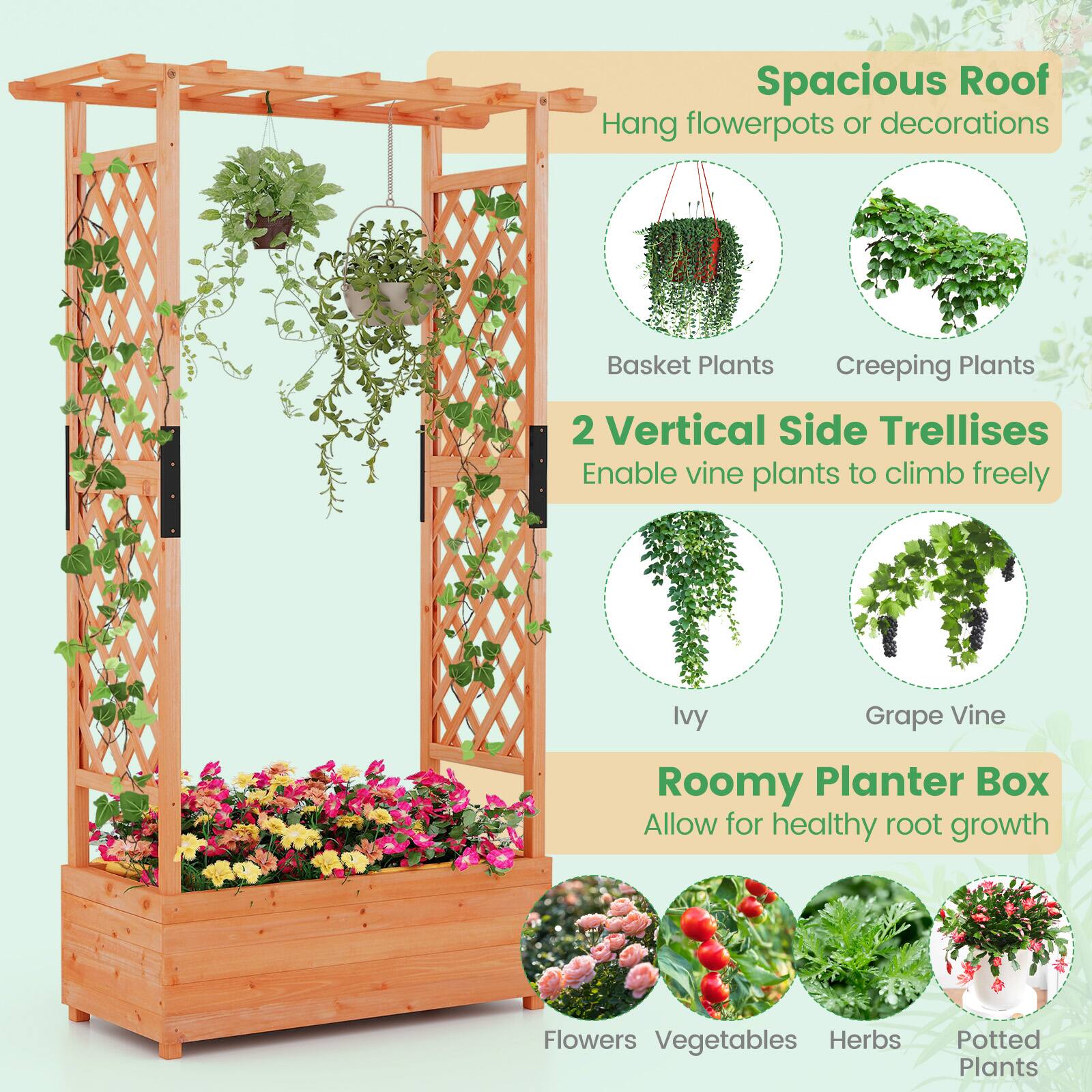 Spacious Roof  
Hang flowerpots or decorations  

Basket Plants  
Creeping Plants  

2 Vertical Side Trellises  
Enable vine plants to climb freely  

Ivy  
Grape Vine  

Roomy Planter Box  
Allow for healthy root growth  

Flowers  
Vegetables  
Herbs  
Potted Plants
