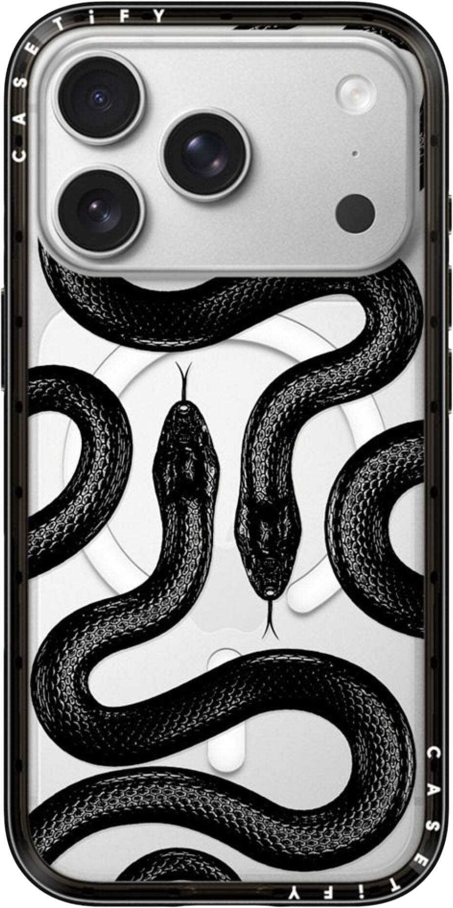 Black Kingsnake