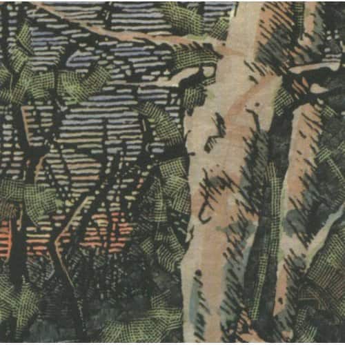 Anomoanon - Asleep Many Years in the Wood   - COMPACT DISCS [CD] price history on PriceWatchPro