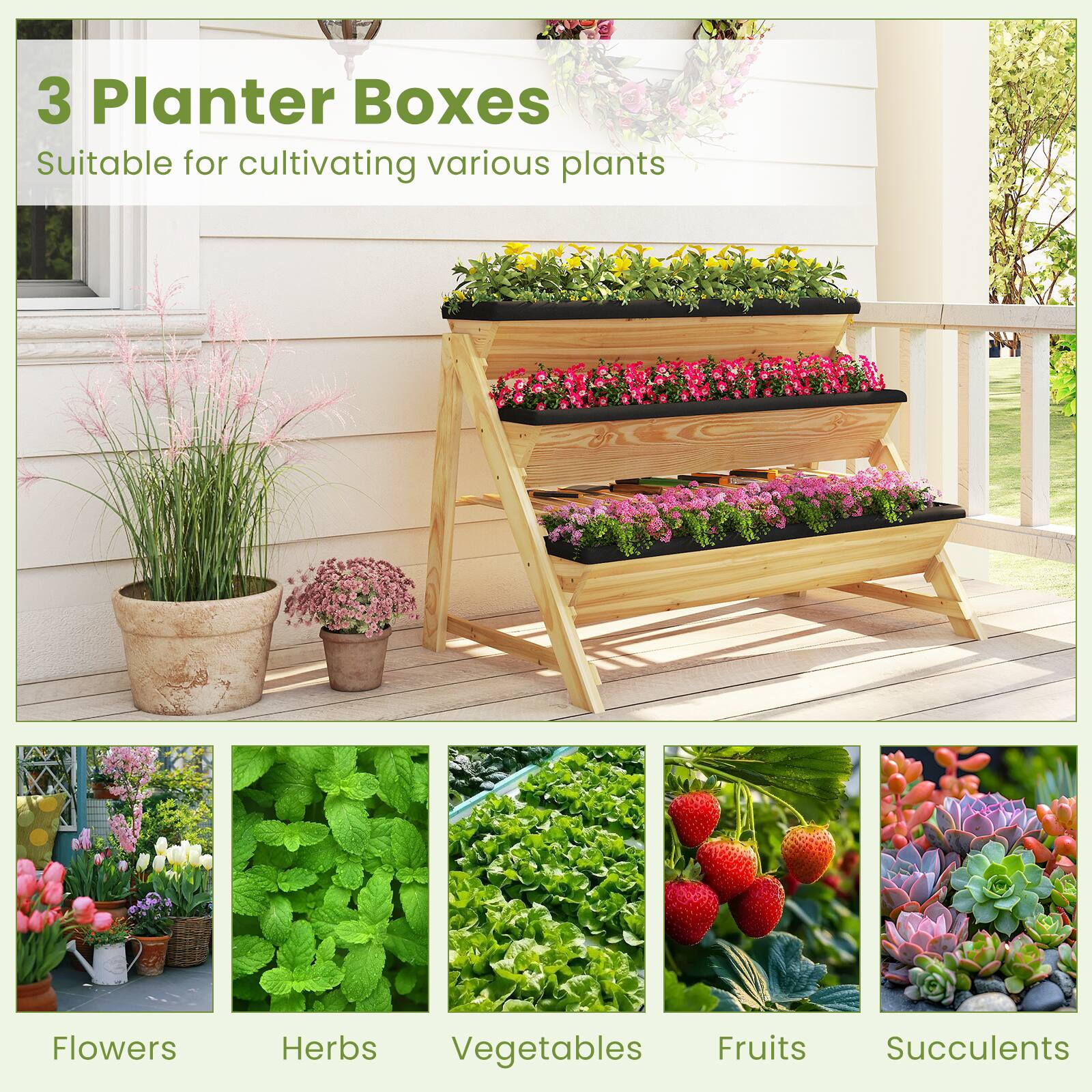 3 Planter Boxes  
Suitable for cultivating various plants  
Flowers, Herbs, Vegetables, Fruits, Succulents