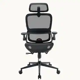 SIHOO - B100 Pro Ergonomic Office Chair, Desk Chair With Adaptive Elastic Lumbar Support, 3D Ultra-Wide Headrest, 4D Arms - Black