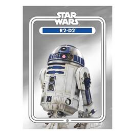 Star Wars - R2-D2 2.5 x 3.5 Inch Flat Magnet - Gray