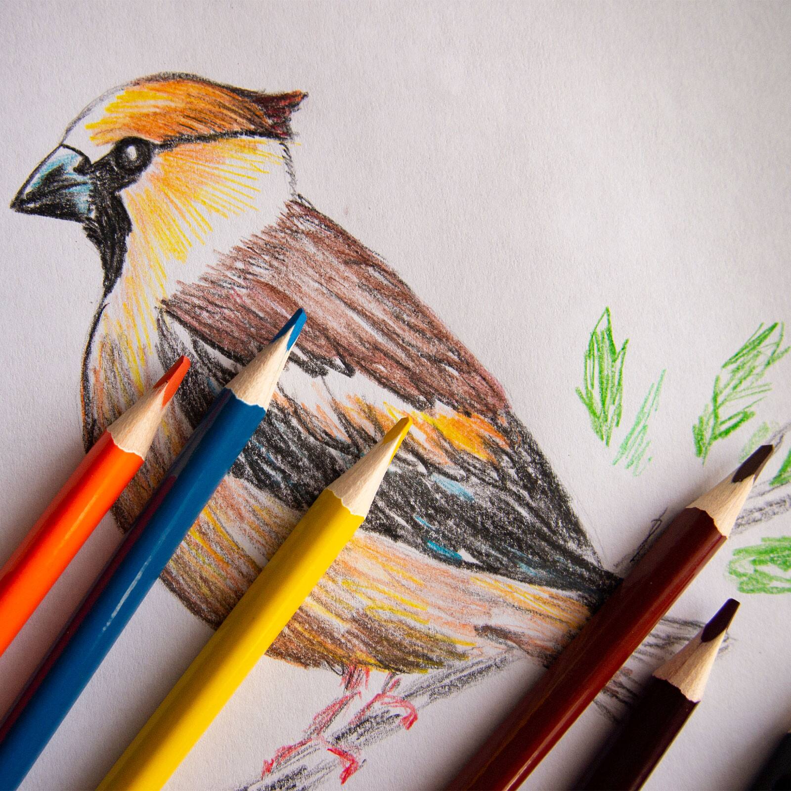 Alt View 4. Unique Bargains - Watercolor Pencils, Color Pencil Set for Adult Coloring, Blending, 3pcs, Dark Coffee - Dark Coffee.