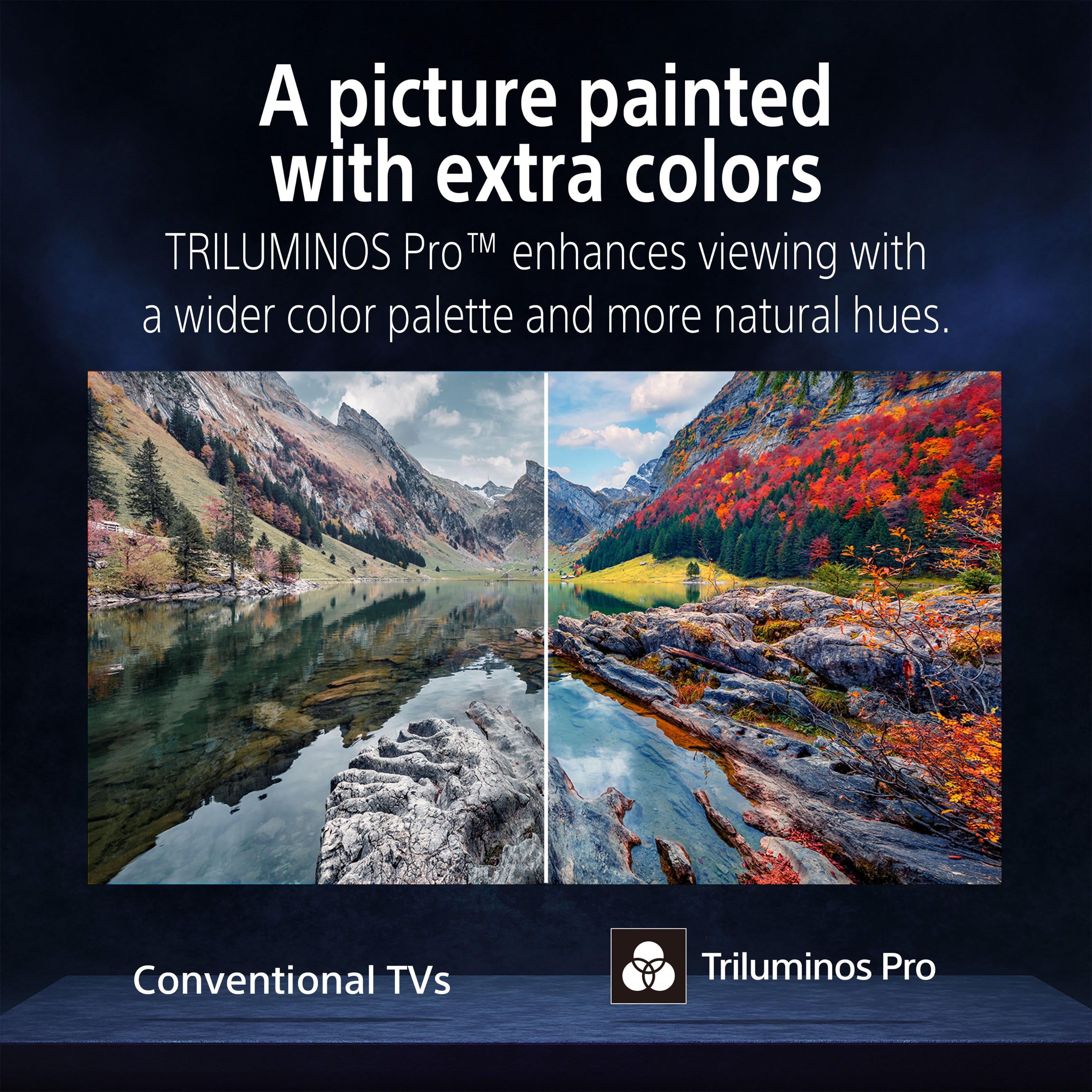 Sony - 55 class BRAVIA 6 OLED 4K HDR Smart Google TV with Ge