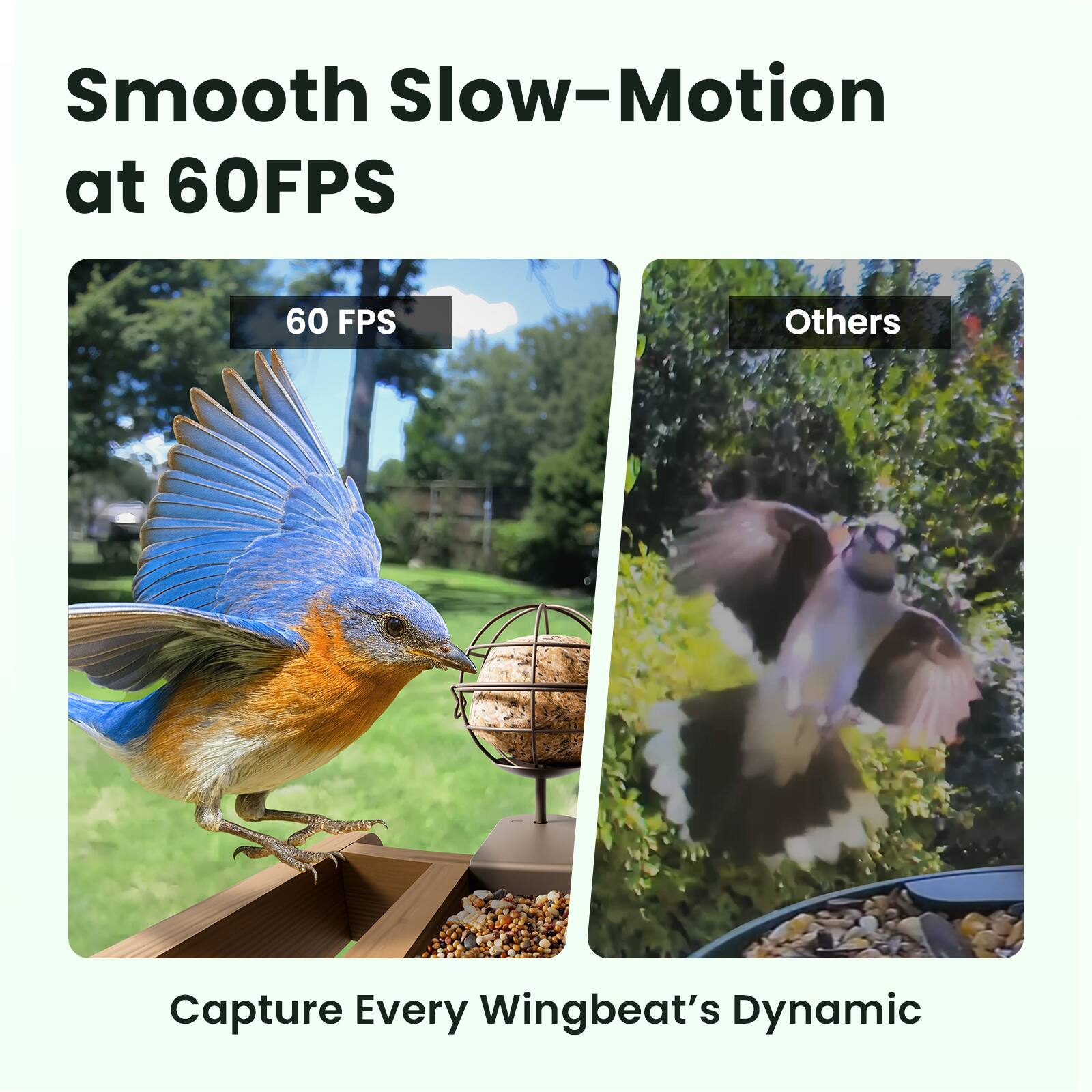 Left. BIRDFY - Smart Bird Feeder Cedar D with Solar Panel, 1080P Camera, Lifetime Free AI Bird ID, Slow Motion, Night Vision, Durable - Brown.