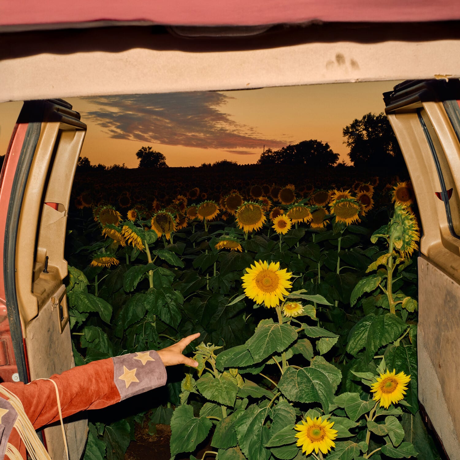 Kevin Morby - Little Wide Open   - VINYL LP price history on PriceWatchPro
