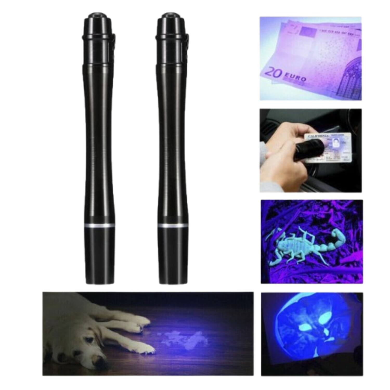 20 EURO  
CALATRENIA