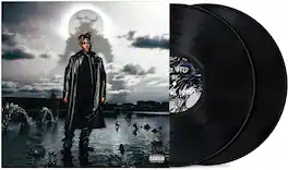 Juice Wrld - Fighting Demons - VINYL LP
