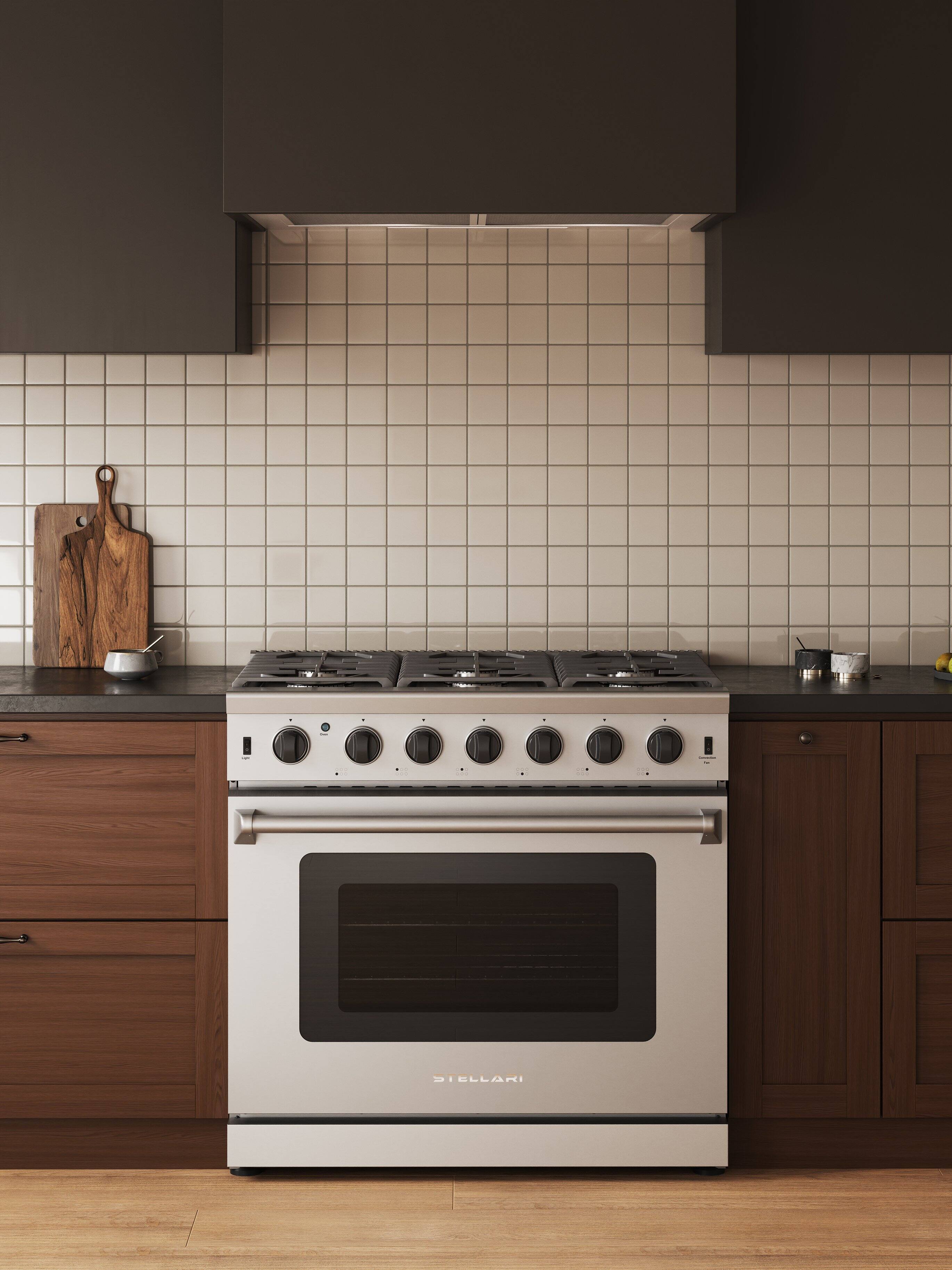 Angle. Stellari - 36 in. 6-Burners 6 cu. Ft. Freestanding Professional Gas Range in Stainless Steel with Convection Oven and Drawer - Stainless Steel.