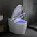 Front. Dyonery - Dyonery Smart Toilet with Bidet Built in, Bidet Toilet with Heated Seat a, Auto Soft Close, UV-C light, Foam Shield - White.