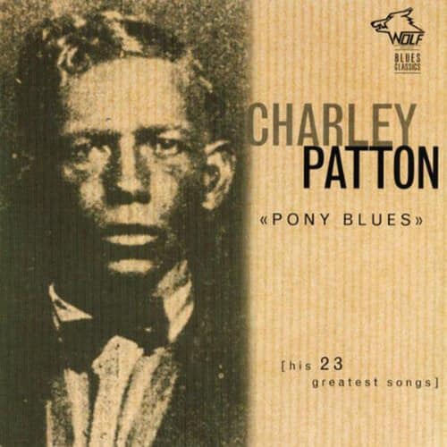 Charley Patton - Pony Blues: His 23 Greatest Songs   - COMPACT DISCS [CD] price history on PriceWatchPro