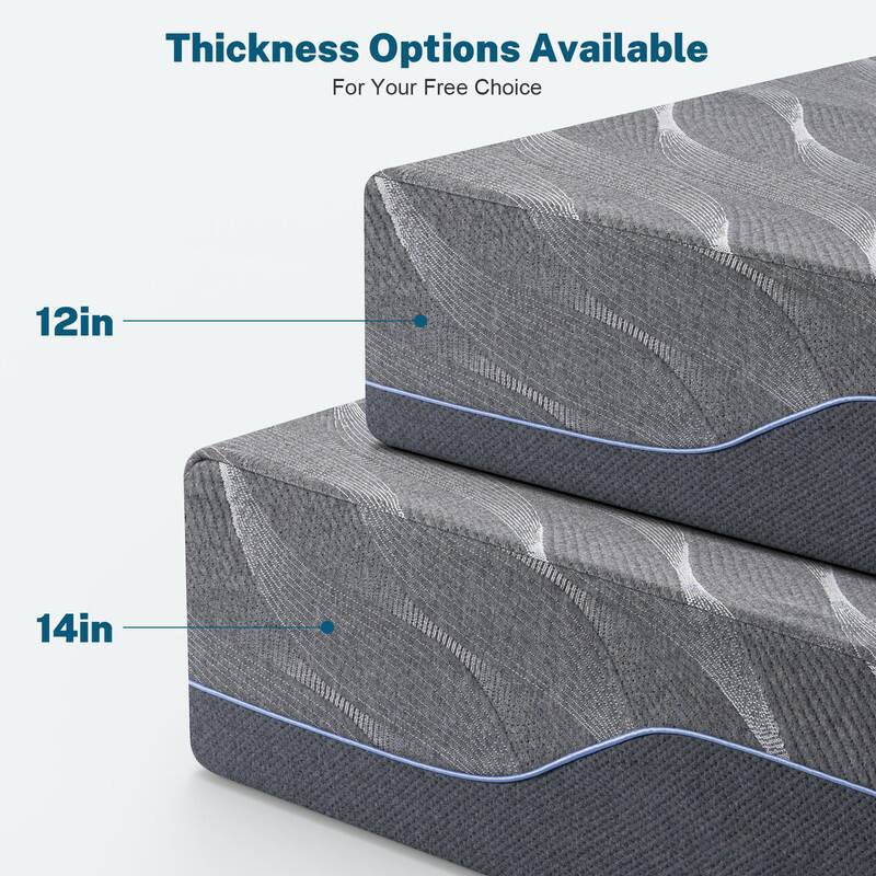 Thickness Options Available  
For Your Free Choice  

12in  
14in