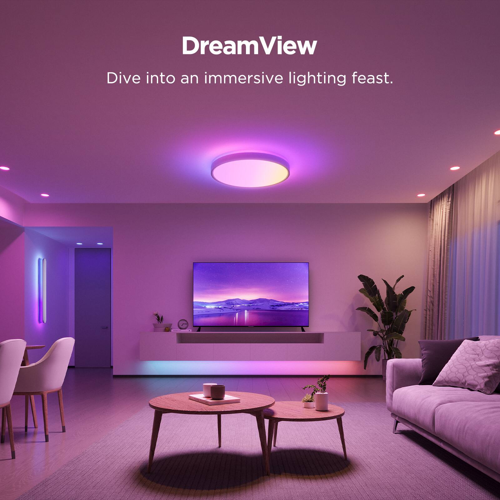 DreamView  
Dive into an immersive lighting feast.
