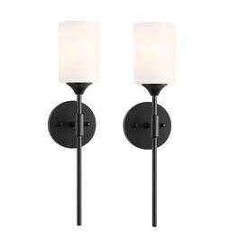 Earthley Blooms - Modern Wall Sconce Set Of Cylinder Glass Shades Mid Century Bathroom Vanity Light Fixtures Industrial Lamp - Black