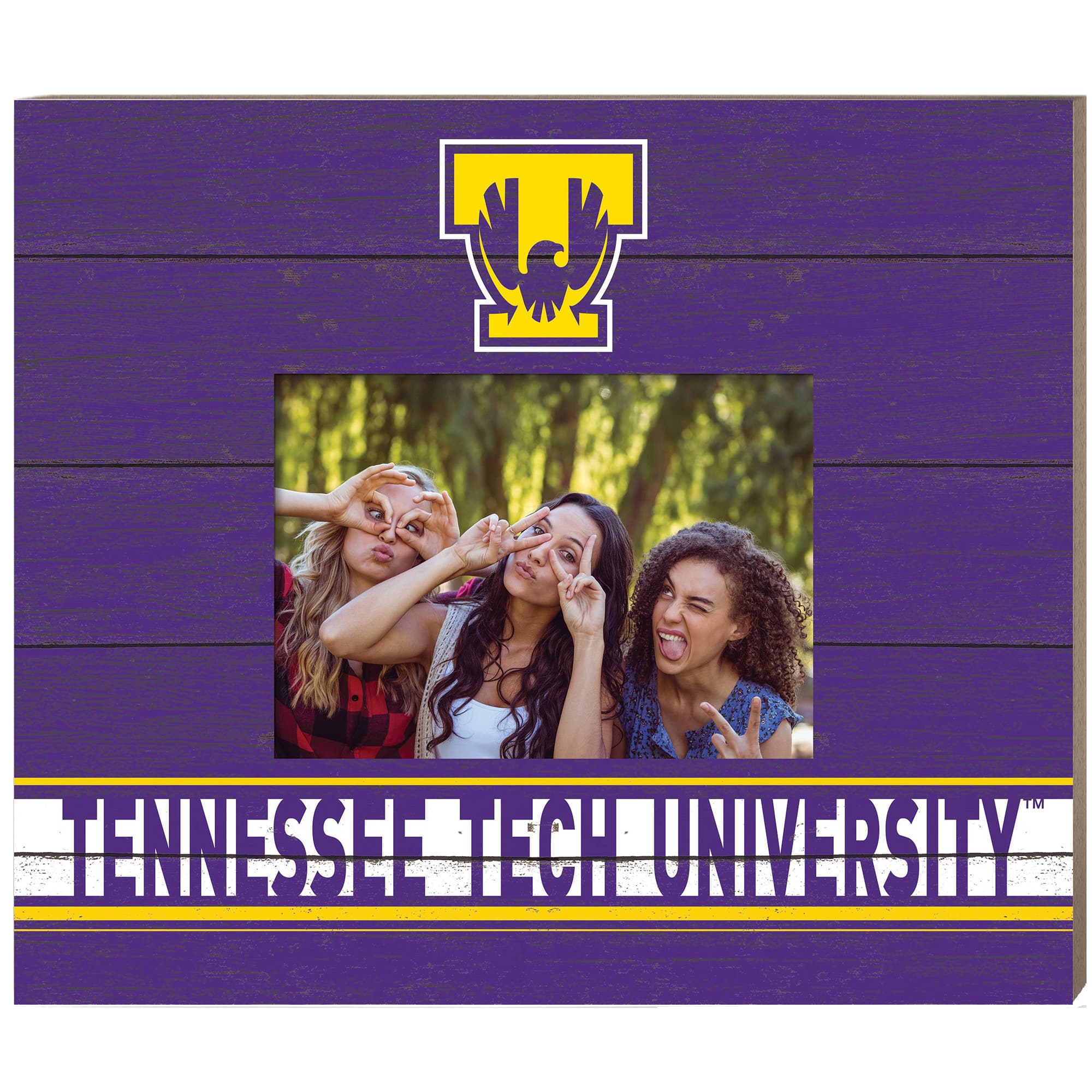 Jardine - Tennessee Tech Golden Eagles 11'' x 13'' Team Spirit Scholastic Picture Frame - Purple price history on PriceWatchPro
