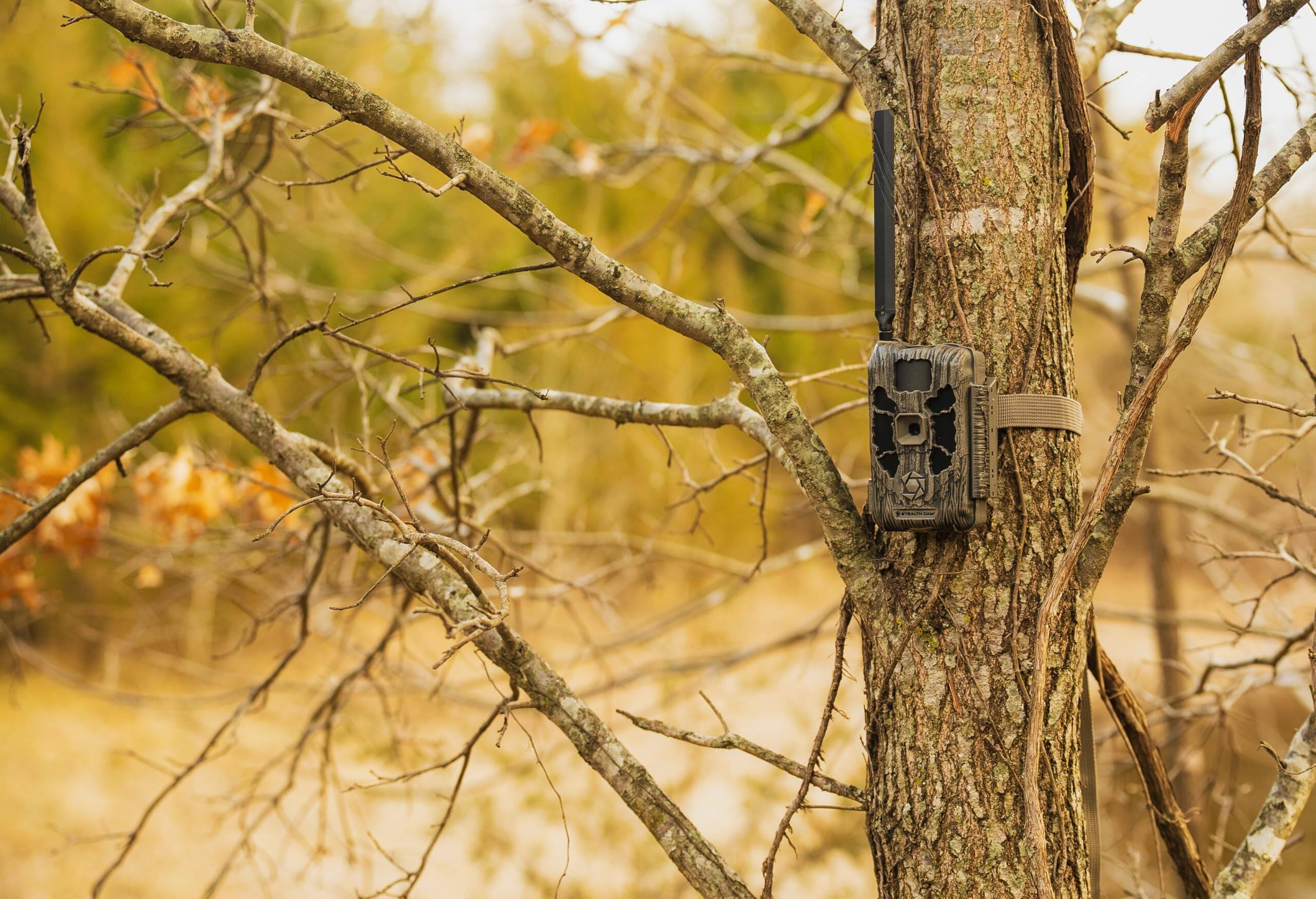 Angle. Stealth Cam - Deceptor MAX Dual SIM Trail Camera 40MP 1440p QHD Video No‑Glo LED Motion Sensor 2-Pack.