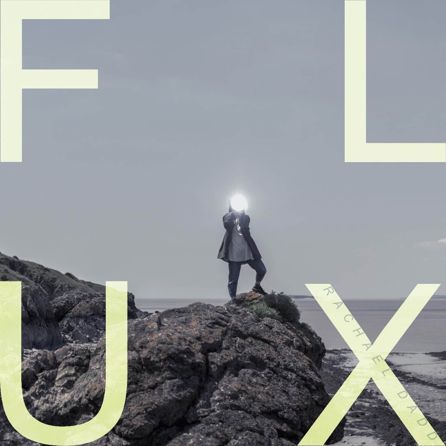 Rachael Dadd - Flux   - COMPACT DISCS [CD] price history on PriceWatchPro