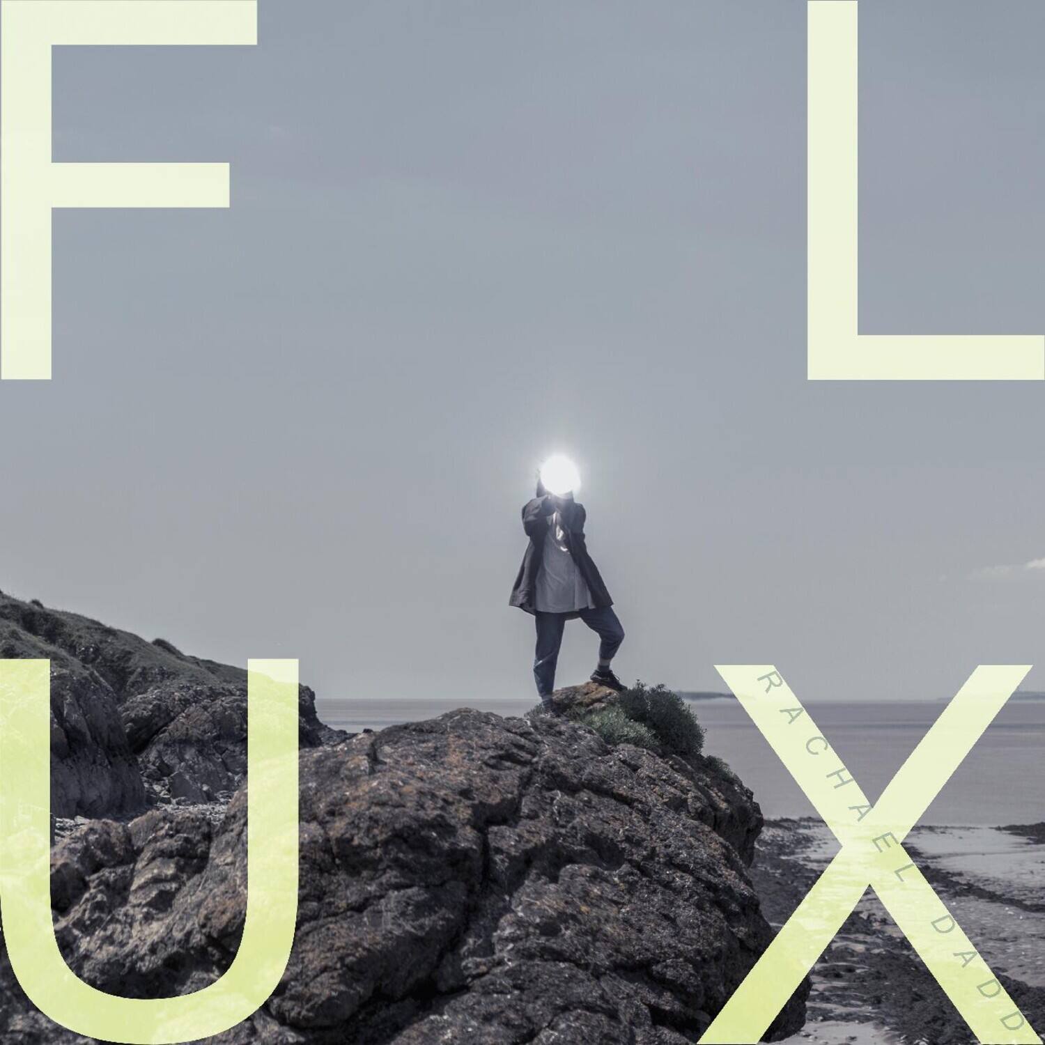 F L U X  
RACHEL DADD