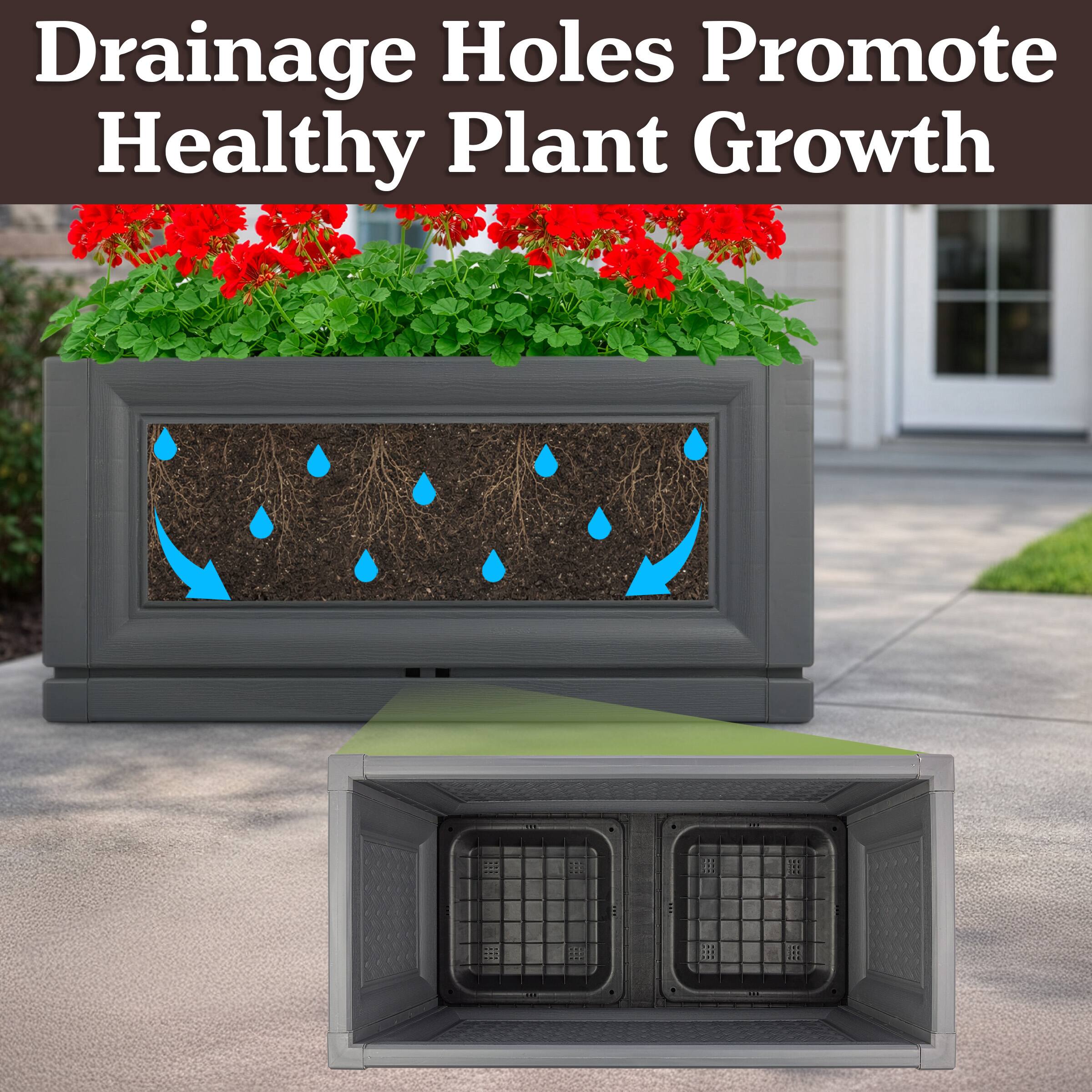 Drainage Holes Promote Healthy Plant Growth