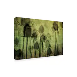 Trademark Fine Art - Katarina Holmstrom Wild Teasel Canvas Art - 24 x 16 Inches - 24x16 - Multicolor