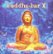 Front Standard. Buddha-Bar, Vol. 10 [CD].