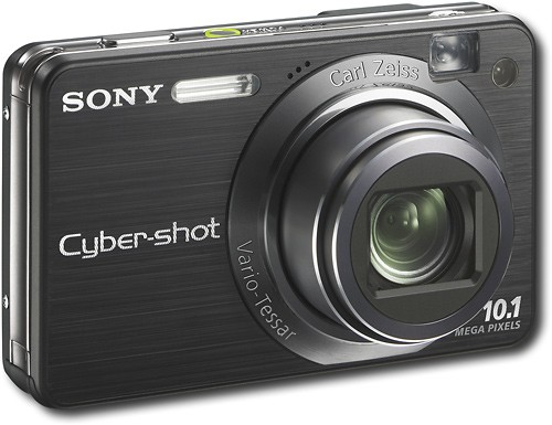 Sony Cybershot DSCW170/B 10.1MP Digital Camera with 5x Optical Zoom with  Super Steady Shot (Black)